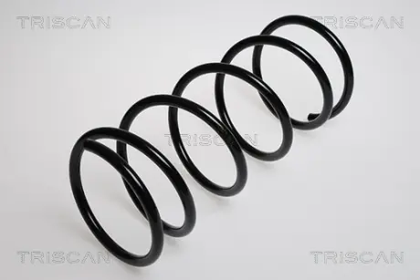 Пружина ходовой части TRISCAN 87501688