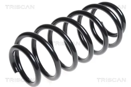 Пружина ходовой части TRISCAN 87501741