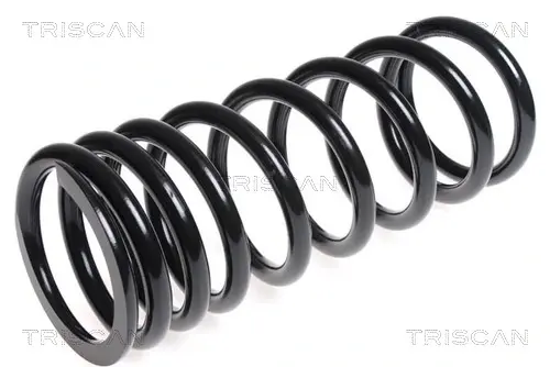 Пружина ходовой части TRISCAN 87501745 (фото 1)