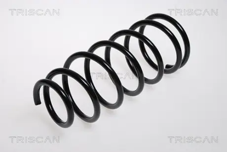 Пружина ходовой части TRISCAN 87501808