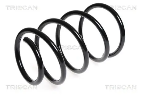 Пружина ходовой части TRISCAN 87501840