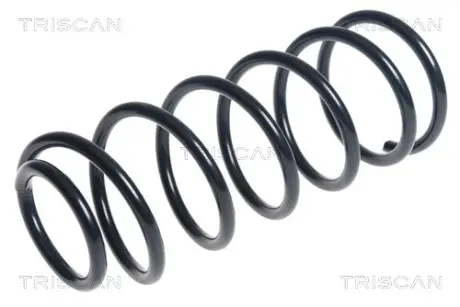 Пружина ходовой части TRISCAN 87501865