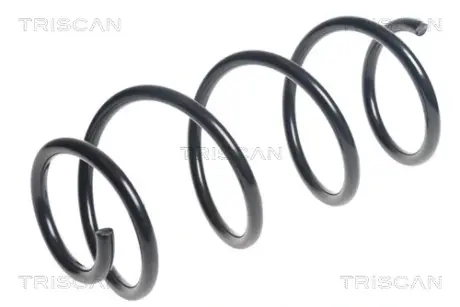 Пружина ходовой части TRISCAN 87501881