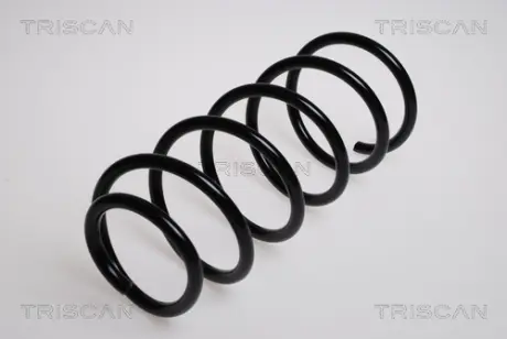 Пружина ходовой части TRISCAN 87502121