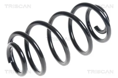 Пружина ходовой части TRISCAN 87502137