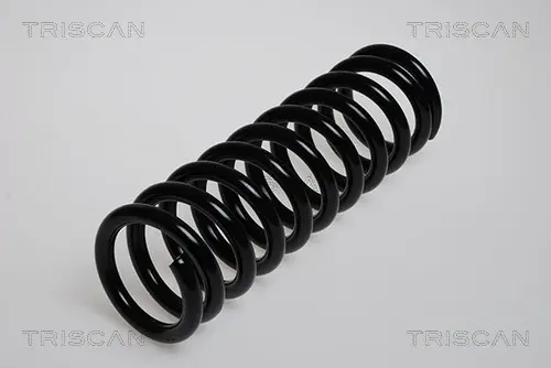 Пружина ходовой части TRISCAN 87502307F (фото 1)