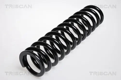 Пружина ходовой части TRISCAN 87502309F (фото 1)