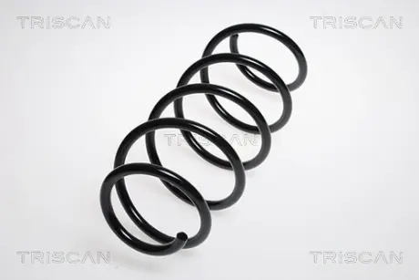 Пружина ходовой части TRISCAN 875023102