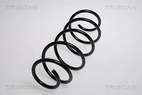 Пружина ходовой части TRISCAN 875023103