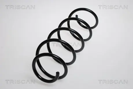 Пружина ходовой части TRISCAN 875023104