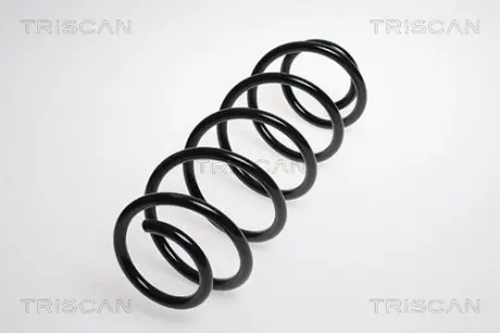 Пружина ходовой части TRISCAN 875023106