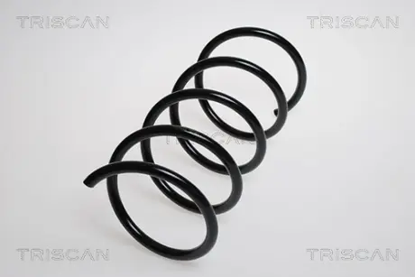 Пружина ходовой части TRISCAN 875023108