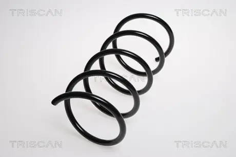 Пружина ходовой части TRISCAN 875023109