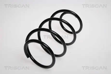 Пружина ходовой части TRISCAN 875023110