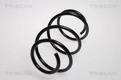 Пружина ходовой части TRISCAN 875023111