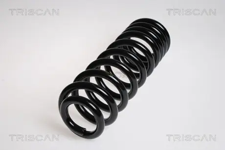 Пружина ходовой части TRISCAN 875023112