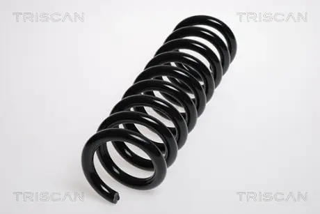 Пружина ходовой части TRISCAN 875023120