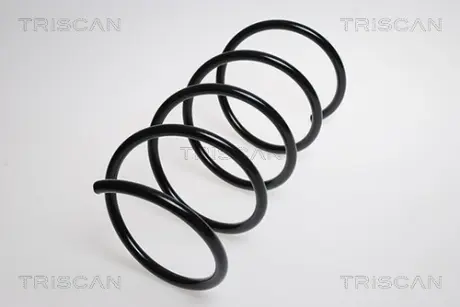 Пружина ходовой части TRISCAN 875023121