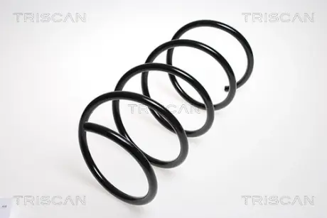 Пружина ходовой части TRISCAN 875023124