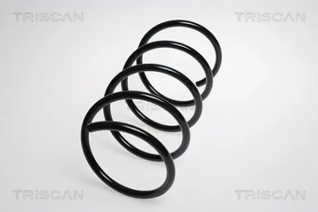Пружина ходовой части TRISCAN 875023125