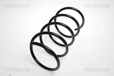 Пружина ходовой части TRISCAN 875023126