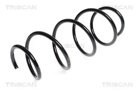 Пружина ходовой части TRISCAN 875023131