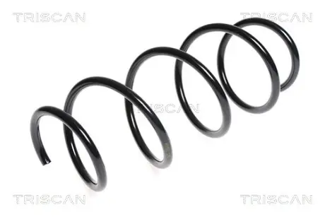 Пружина ходовой части TRISCAN 875023132