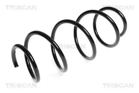 Пружина ходовой части TRISCAN 875023137