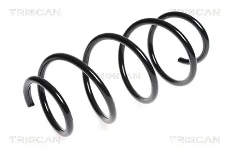 Пружина ходовой части TRISCAN 875023138