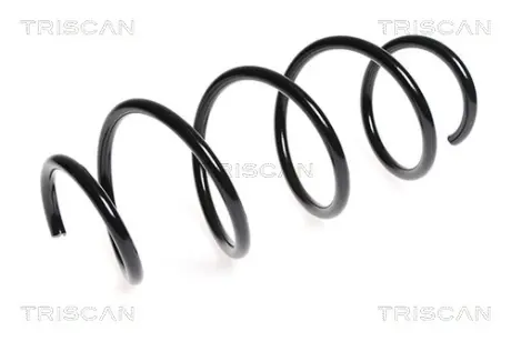 Пружина ходовой части TRISCAN 875023139