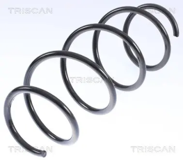 Пружина ходовой части TRISCAN 875023141