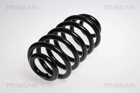 Пружина ходовой части TRISCAN 875023145