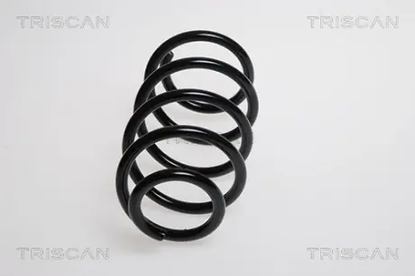 Пружина ходовой части TRISCAN 875023146