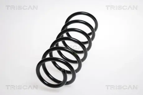 Пружина ходовой части TRISCAN 875023149