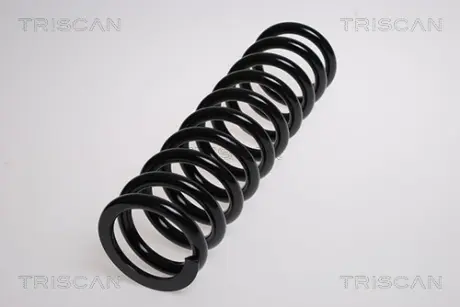 Пружина ходовой части TRISCAN 875023156