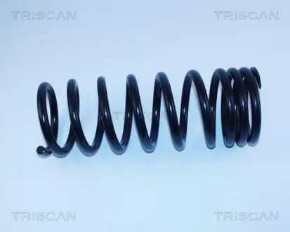 Пружина ходовой части TRISCAN 87502315