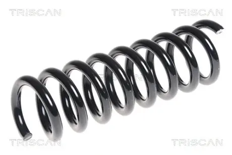 Пружина ходовой части TRISCAN 875023166
