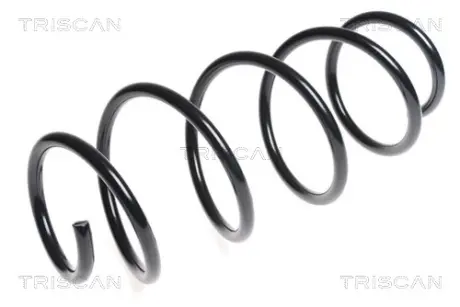 Пружина ходовой части TRISCAN 875023167