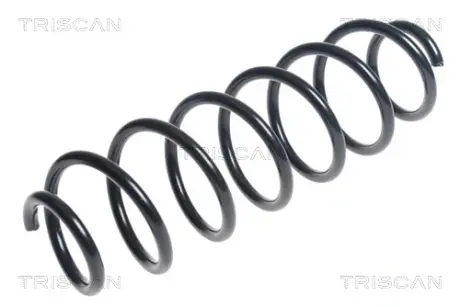 Пружина ходовой части TRISCAN 875023168