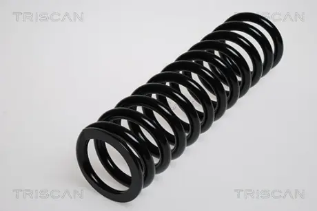 Пружина ходовой части TRISCAN 87502319