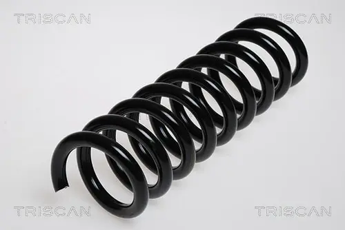 Пружина ходовой части TRISCAN 87502342 (фото 1)