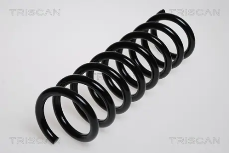 Пружина ходовой части TRISCAN 87502348