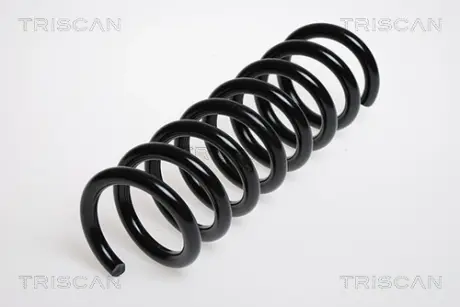 Пружина ходовой части TRISCAN 87502353