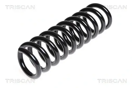Пружина ходовой части TRISCAN 87502354 (фото 1)