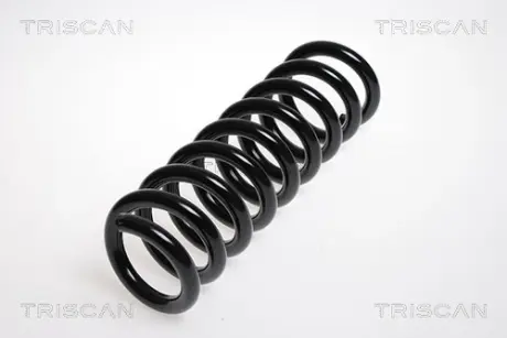 Пружина ходовой части TRISCAN 87502384