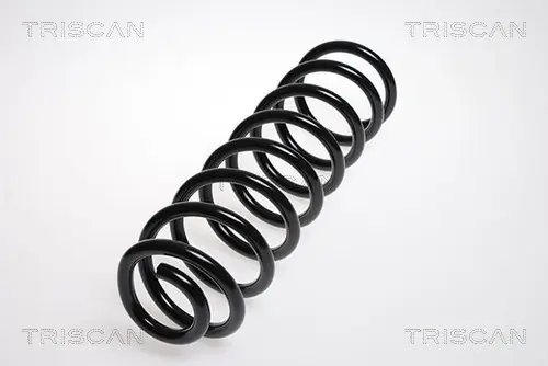 Пружина ходовой части TRISCAN 87502389 (фото 1)