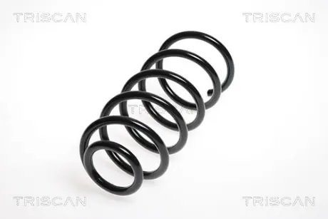 Пружина ходовой части TRISCAN 87502393