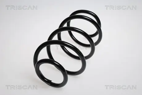 Пружина ходовой части TRISCAN 87502395