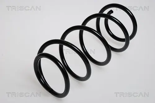 Пружина ходовой части TRISCAN 875024005 (фото 1)