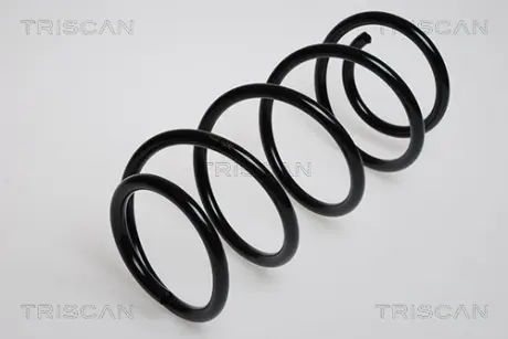 Пружина ходовой части TRISCAN 875024005